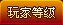玩家等级